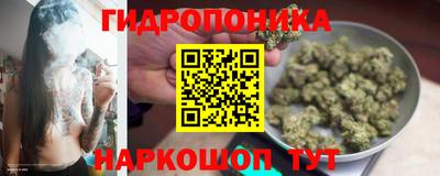 крисы Будённовск