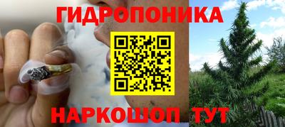 крисы Будённовск