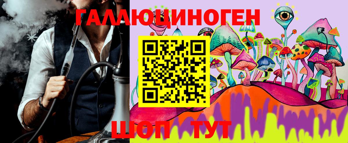 Псилоцибиновые грибы Psilocybe Серпухов