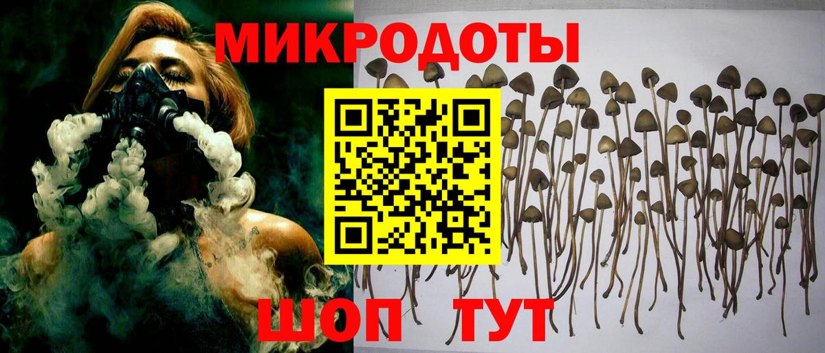 Серпухов  Галлюциногенные грибы MAGIC MUSHROOMS  Вход с VPN  Галлюциногенные грибы мицелий 
